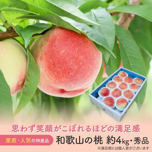 ［農園直送］朝採れ和歌山の桃　約4kg・秀品★2026年6月下旬～8月中旬頃順次発送★［TM168］