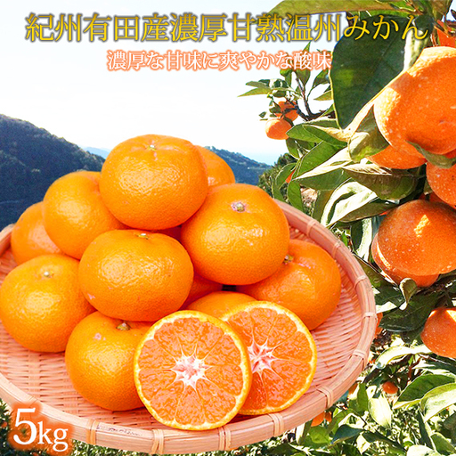 紀州有田産濃厚甘熟温州みかん5kg[2026年11月下旬以降発送][先行予約][UT09]