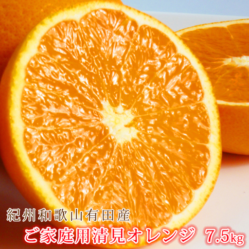 ［ご家庭用訳アリ］紀州有田産清見オレンジ　7.5kg［2027年3月下旬以降発送］［先行予約］［UT54］
