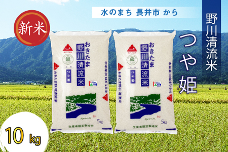 【令和7年産新米】【特別栽培米】野川清流米「つや姫」10kg(5kg×2袋)_A084(R7)
