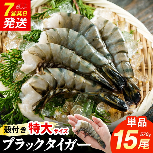 特大 ブラックタイガー 無頭えび 570g前後15尾