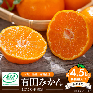 和歌山県産 有田みかん 化粧箱 約4.5kg Mサイズ【まごころ手選別】_ZE6059n