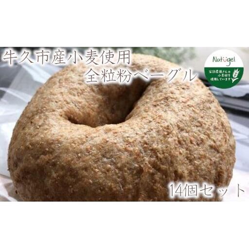 牛久市産 小麦 全粒粉 100% の ベーグル 14個セット