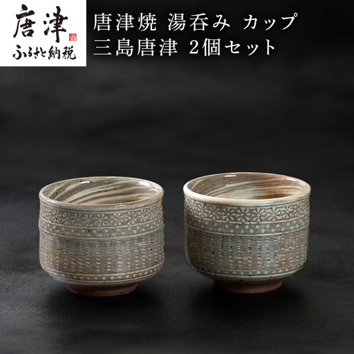 唐津焼 鏡山窯 湯呑み カップ 三島唐津 2個セット
