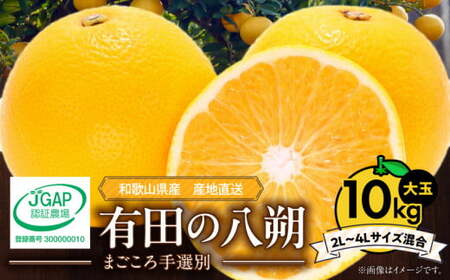【2027年先行予約】和歌山県産 有田の八朔 (はっさく) 約10kg【2L～4Lサイズ混合】まごころ手選別 _ZE6155n