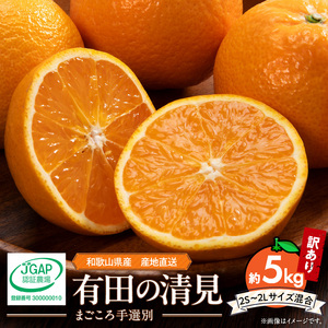 【2027年先行予約】和歌山県産 有田の 清見（訳あり 家庭用）5kg (2S～2Lサイズ混合)（まごころ手選別）_ZE6158n