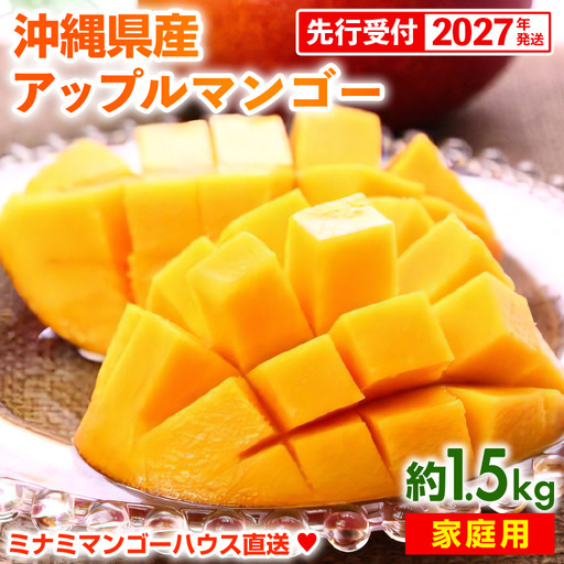 【先行受付】【2027年発送】ミナミマンゴーハウスのアップルマンゴー 家庭用 約1.5kg- 先行予約 沖縄県産 産地直送 南国フルーツ 旬の味覚 ご自宅用 オススメ 沖縄県 八重瀬町