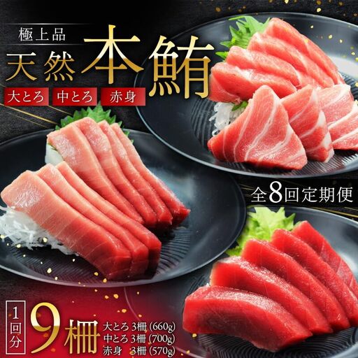 【 全8回 定期便 】 極上品 天然 本鮪 大とろ 3柵 ・ 中とろ 3柵 ・ 赤身 3柵 M007-T04 冷凍 定期