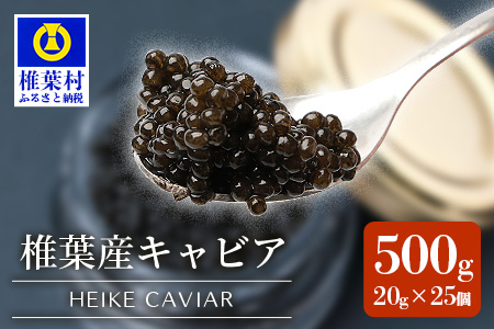 [世界三大珍味×日本三大秘境]HEIKE CAVIAR 500g [20g×25個][産地直送]国産 チョウザメ キャビア 500g 魚卵 魚介 珍味 SZ-126