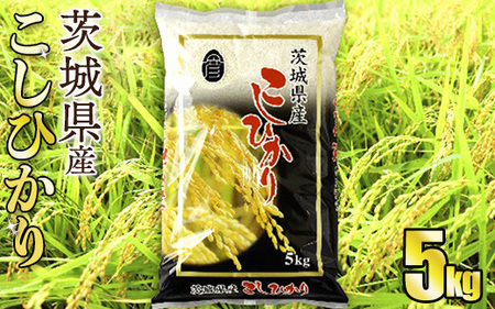 令和8年産 茨城コシヒカリ 5㎏（5㎏×1袋）【お米・コシヒカリ・米・5kg】