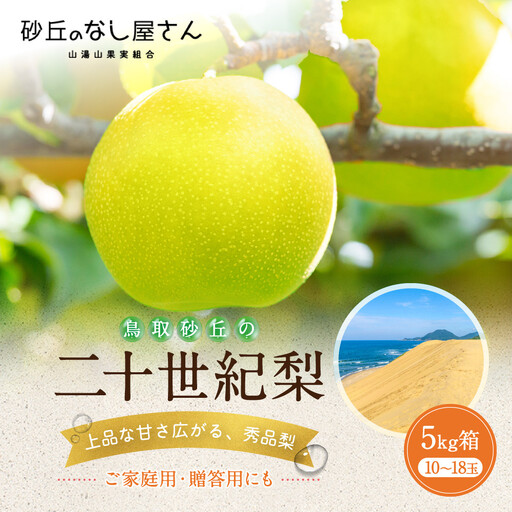 二十世紀梨 秀品 5キロ（砂丘のなし屋さん）