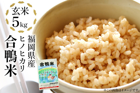 令和8年産 予約 合鴨米「ヒノヒカリ」（玄米・5ｋｇ）　BI03