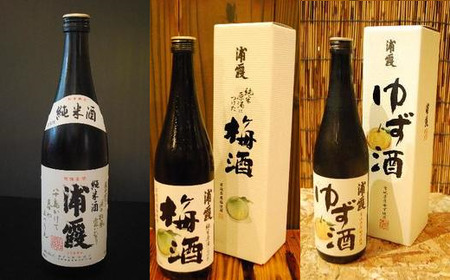 日本酒 「浦霞」3本 飲み比べ ( 純米酒 梅酒 ゆず酒 ) 720ml×3 BASE純米セット 4525763