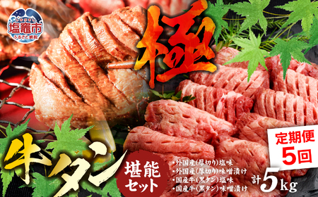 [定期便]牛タン 仙台名物 厚切り 牛たん 堪能贅沢 セット・極(全5回の定期便) [04203-0421]
