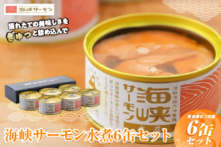 海峡サーモン水煮6缶セット