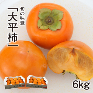 旬の味覚「大平柿」6kg _T03401
