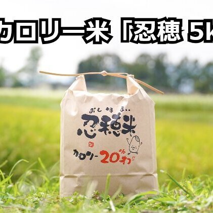 低カロリー米  忍穂（おしほ）5kg お米 