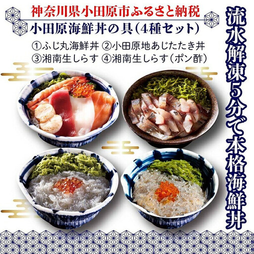 小田原海鮮丼の具（4種セット）｜魚介 海鮮丼 食べ比べ 人気 おすすめ 刺身 丼ぶり 冷凍 簡単調理 小分け セット 魚介類 ご飯のお供 おすすめ 人気 送料無料 神奈川県 小田原市