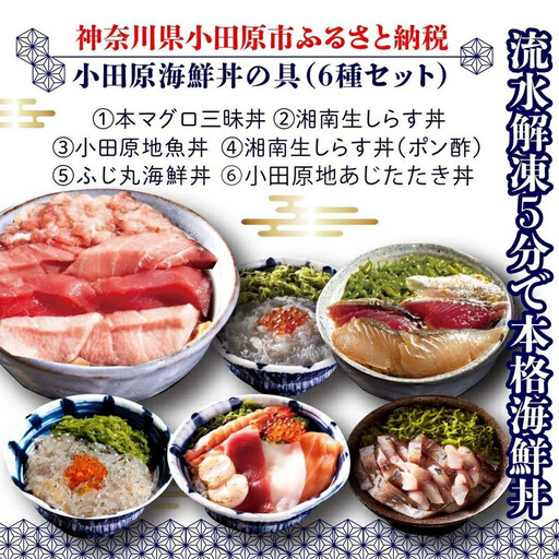小田原地魚＆本まぐろ海鮮丼の具（6種セット）｜魚介 本まぐろ 海鮮丼 食べ比べ 人気 おすすめ まぐろ 刺身 丼ぶり 冷凍 簡単調理 小分け セット おすすめ 人気 送料無料 神奈川県 小田原市