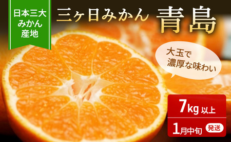 みかん 青島 7kg 2L 優品 ミカン 蜜柑 みかん