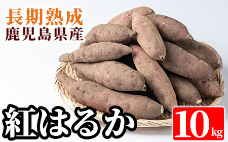 鹿児島県産[紅はるか]土付き(10kg)[フレッシュジャパン鹿児島]さつまいも サツマイモ さつま芋 紅はるか 生芋