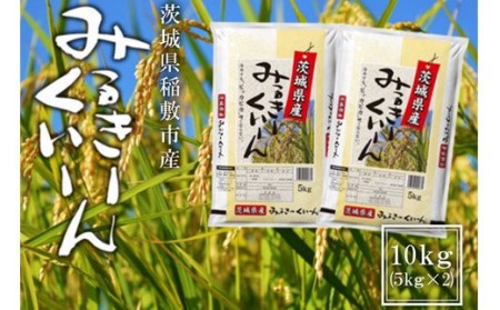 [定期便/3ヶ月 令和7年産]稲敷市産 ミルキークイーン 計30kg (10kg [5kg×2袋]×3回) [2002]