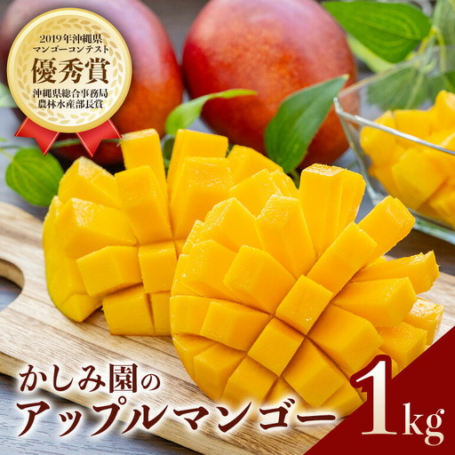 [ 先行予約 2027年 発送 ] 優秀賞受賞のかしみ園 アップルマンゴー 1kg 沖縄県産 マンゴー アーウィンマンゴー 1キロ 国産 完熟 果物 南国 くだもの フルーツ 完熟 夏 旬 特産品 沖縄 お取り寄せ 産地直送 農家直送 甘い 濃厚 糸満市 18-5