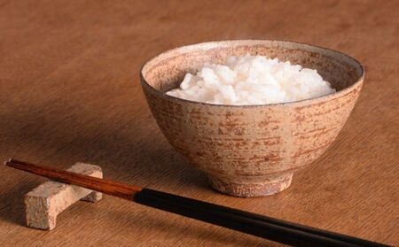 茶碗 箕乃窯のご飯茶碗 灰釉飯椀 食器 お茶碗 ご飯茶碗 箕乃窯 おしゃれ シンプル 素朴 箕輪町