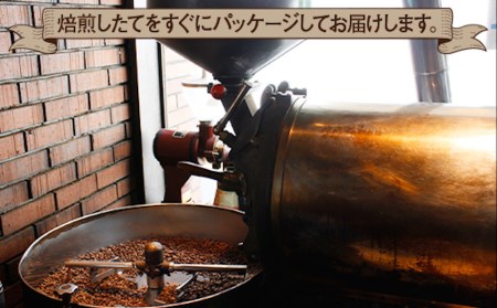 [定期便]焙煎仕立ての珈琲豆を毎月300gお届け (全3回) 合計900g (豆のまま) [1624]