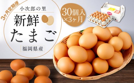 [3ヶ月定期便]鶏卵 30ヶ入×3回 合計90個 たまご 福岡県産