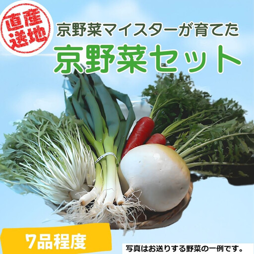 先行予約【京やさい佐伯】京野菜セット ＜数量限定＞［ 京都 直売所 直送 京野菜 野菜 新鮮 旬 人気 おすすめ 美味しい 人気 お取り寄せ 通販 送料無料 ふるさと納税 ］