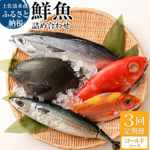 [3回定期便] 季節の鮮魚 おまかせお楽しみセット(ゴールドコース) [J00047]