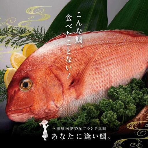 南伊勢町産 真鯛 3枚おろし 贅沢 真鯛