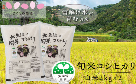 令和8年産 魚沼の旬米 コシヒカリ [精米]2kg×2 お米