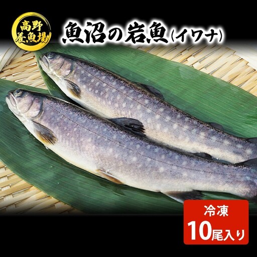 魚沼の岩魚（イワナ）冷凍10尾入り 魚貝類 川魚 