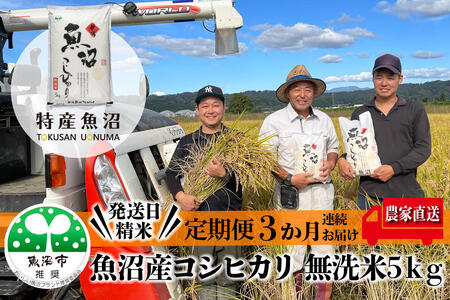 農家直送! 魚沼産 コシヒカリ 無洗米 5kg 3ヶ月 連続お届け ( 米 定期便 こしひかり お米 こめ コメ 魚沼産コシヒカリ 魚沼 新潟 魚沼産こしひかり おこめ 白米 定期 お楽しみ 3回 )