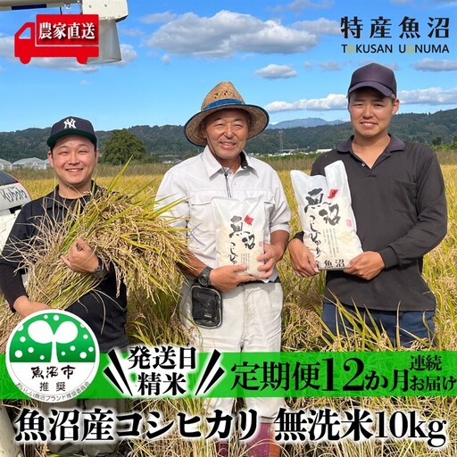 無洗米 定期便 12ヶ月 コシヒカリ 5kg 米 白米 お米 魚沼産コシヒカリ 新潟米 新潟 魚沼市 定期 12回
