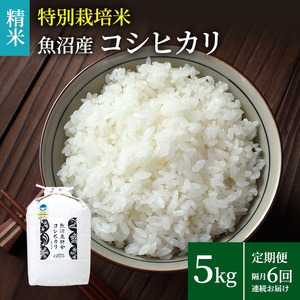 米農家自慢の特別栽培米魚沼産コシヒカリ（精米）5kg×1袋 隔月全6回お届け お米 