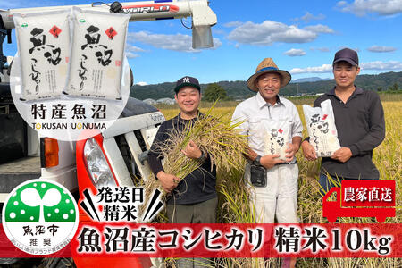 令和8年産 農家直送！ 魚沼産 コシヒカリ 精米 10kg （ 5kg × 2 ）（ 米 こしひかり お米 こめ コメ おこめ 白米 魚沼 魚沼産コシヒカリ 魚沼産こしひかり 新潟 ） 新潟県 
