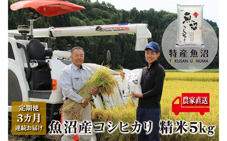 農家直送! 魚沼産 コシヒカリ 精米 5kg 3ヶ月 連続お届け( 米 定期便 こしひかり お米 こめ コメ 魚沼産コシヒカリ 魚沼 新潟 魚沼産こしひかり おこめ 白米 定期 お楽しみ 3回 ) 新潟県