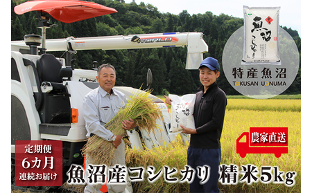 農家直送！ 魚沼産 コシヒカリ 精米 5kg 6ヶ月 連続お届け（ 米 定期便 6か月 こしひかり お米 こめ コメ 魚沼産コシヒカリ 魚沼産こしひかり おこめ 白米 魚沼 新潟 定期 お楽しみ 6回 ） 新潟県 