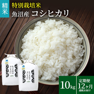 米農家自慢の特別栽培米魚沼産コシヒカリ(精米)10kg(5kg×2袋) 12ヶ月 連続お届け お米 12回 1年 