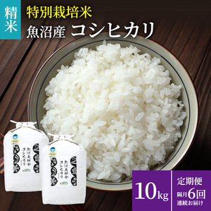 米農家自慢の特別栽培米魚沼産コシヒカリ(精米)10kg(5kg×2袋) 隔月 全6回お届け お米 