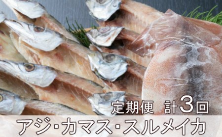 [定期便]いずま海産の黒潮干物11枚頒布会[3回お届け]干物