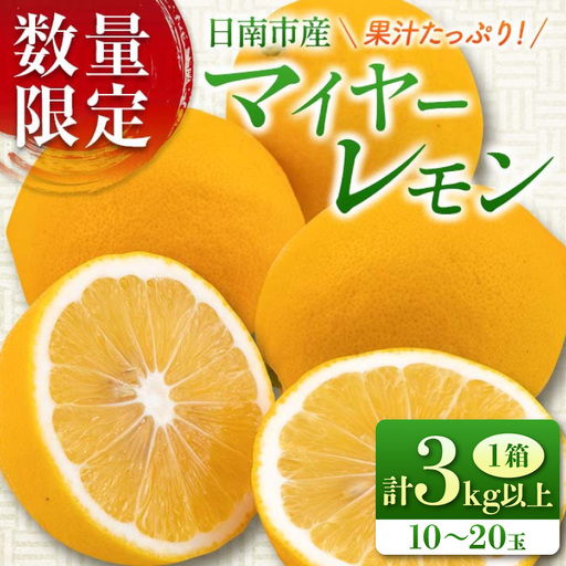 マイヤーレモン 計3kg以上 希少 国産レモン 果物 くだもの フルーツ 檸檬 柑橘 期間限定 数量限定_AV3-25