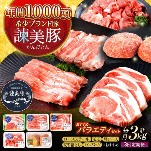 【3回定期便】諫美豚おすすめバラエティセット3kg / 諫美豚 豚肉 肩ロース ステーキ モモ 切り落とし ハンバーグ ロースステーキ / 諫早市 / 株式会社土井農場 [AHAD002]