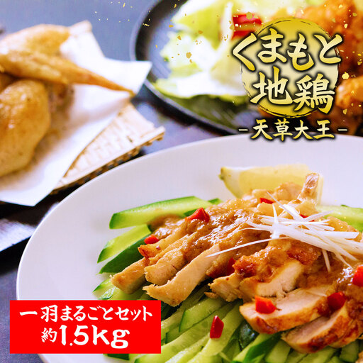 希少!くまもと地鶏 天草大王 一羽まるごとセット