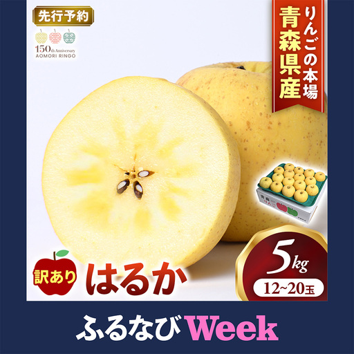 [ふるなびWEEK対象][訳あり] 青森県産りんご はるか 約5kg 12月上旬〜 りんご