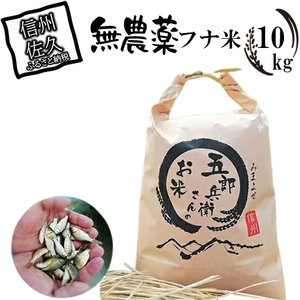 【令和8年産・白米10kg（農薬不使用米）】フナで育てた「五郎兵衛さんのお米」＜2026年10月初旬以降順次配送＞ 長野県 信州 新米 こしひかり【五郎兵衛米 米 コメ 白米 精米 お米 こめ おこめ 備蓄品 仕送り おすそ分け 備蓄米 コシヒカリ こしひかり 長野県 佐久市 】