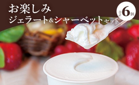 ドルチェかがみ お楽しみジェラート&シャーベットセット 6個入り dc-0057